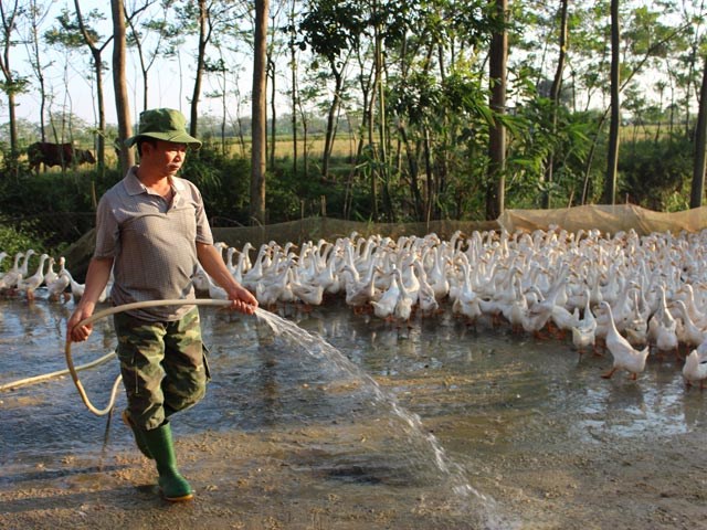 Nông thôn mới ở Bình Xuyên, Vĩnh Phúc: Thay đổi tư duy để hội nhập (8/12/2015)