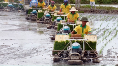 Đẩy mạnh cơ giới hóa đồng bộ trong trồng trọt - Giải pháp nâng cao năng suất, chất lượng sản phẩm