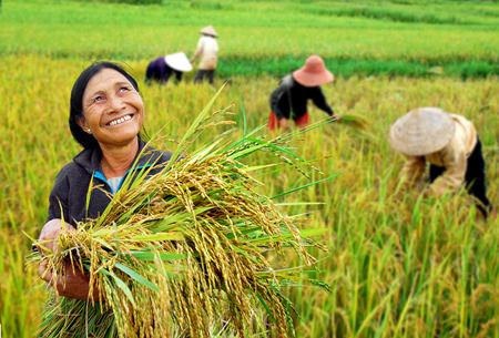 Học cách làm nông cho chuyên nghiệp (14/12/2016)