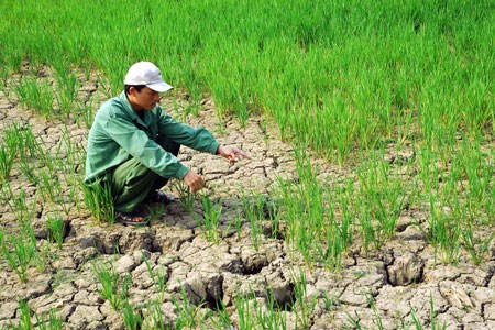 Ứng phó với thiên tai do tác động của biến đổi khí hậu. (22/5/2016)