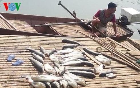 Tổng cục Thủy sản cùng khắc phục hậu quả và tư vấn cho bà con nuôi trồng thủy sản trong vụ cá chết hàng loạt trên sông Bưởi, Thanh Hóa (12/5/2016)