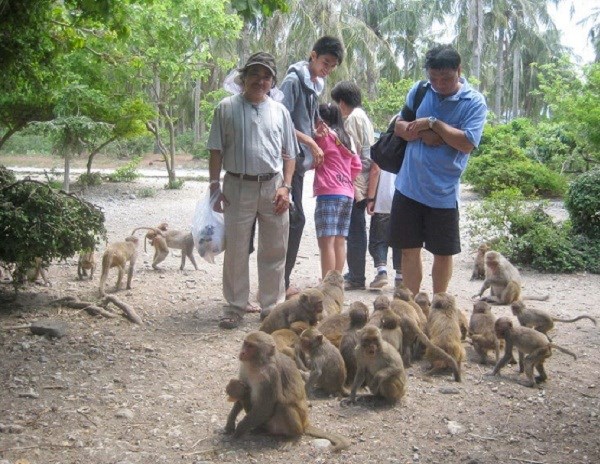 Khám phá hòn đảo của khỉ và rác. (22/5/2016)