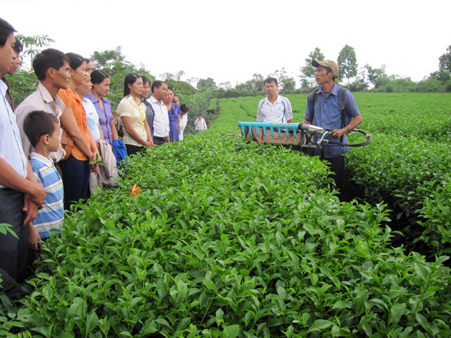 Chuyển giao tiến bộ khoa học kỹ thuật về nông thôn, miền núi. (05/4/2016)