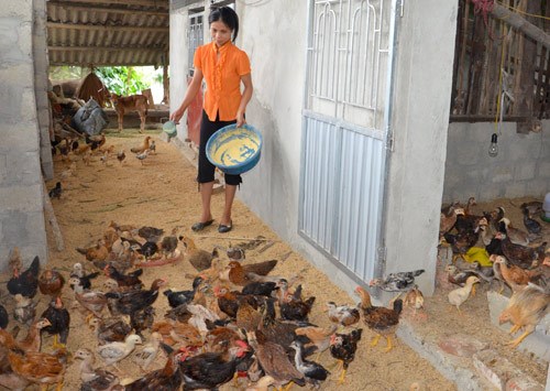 Thoát nghèo nhờ vốn vay ưu đãi (28/1/2016)