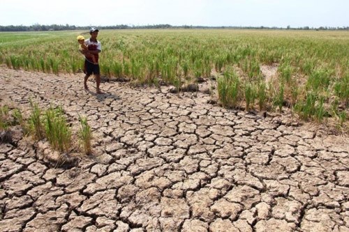 Campuchia nỗ lực khắc phục hiện tượng Elnino (30/3/2016)