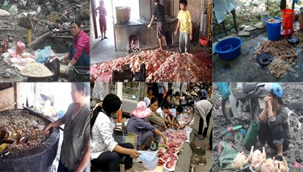 Sống đúng phải chăng đã trở thành quá khó (25/3/2016)