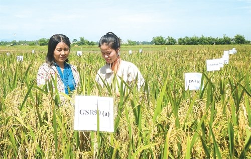 Ứng dụng khoa học kỹ thuật trong sản xuất thích ứng với biến đổi khí hậu (24/3/2016)