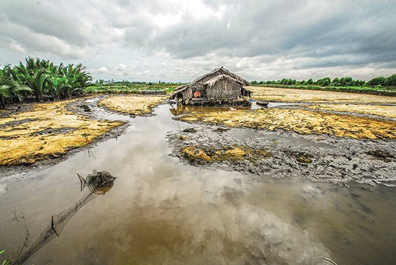 Dự kiến hôm nay, một số tỉnh khu vực Đồng bằng Sông Cửu Long có thể tiếp tục đón nguồn nước xả từ các hồ thủy điện thượng nguồn của Trung Quốc và Lào để chống hạn và ngăn mặn xâm nhập (Thời sự trưa 3/4/2016)