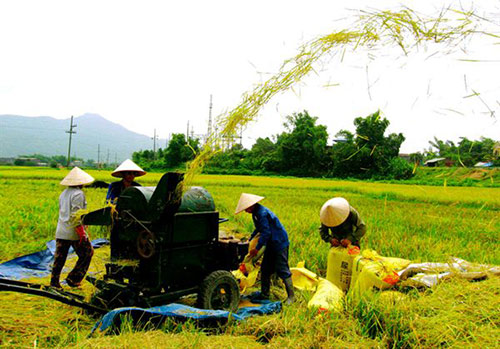 Tầm nhìn chiến lược của Đảng về vấn đề tam nông. (20/01/2016)