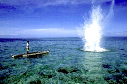 Biển đảo Việt Nam ngày 02/12/2014: Sử dụng xung điện, chất nổ trong khai thác hải sản - Hệ lụy cho hôm nay và mai sau