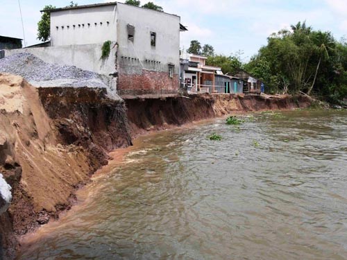 Theo dòng thời sự ngày 5/11/2014: Vĩnh Long- Người dân 