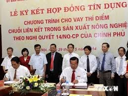 Kinh tế ngày 24/9/2014: Ngân hàng Nhà nước khơi thông vốn cho nông nghiệp nông thôn: Thực tế từ tỉnh Thái Bình