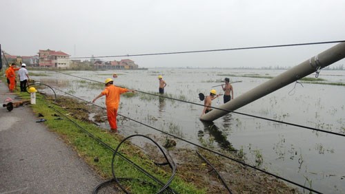 Nông nghiệp và nông thôn ngày 22/7/2014: Các tỉnh phía Bắc khắc phục sản xuất sau bão số 2