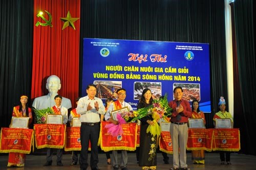 Nông nghiệp và nông thôn ngày 10/8/2014: Cuộc thi của những người chăn nuôi gia cầm giỏi