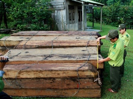 Cần ngăn chặn triệt để tình trạng phá rừng đặc dụng Phong Quang – Hà Giang.