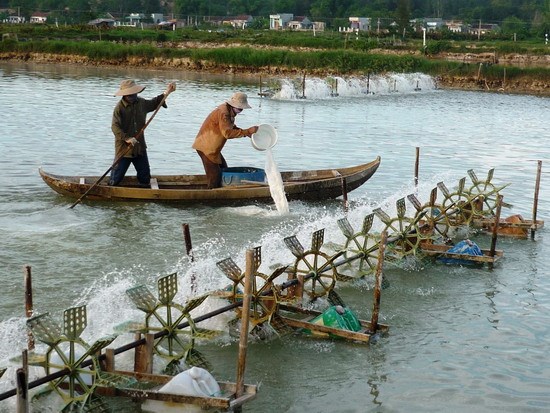 Phát triển bền vững nghề thủy sản dựa vào cộng đồng