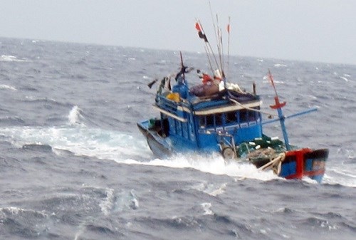 7 ngư dân trên tàu cá Thanh Hóa rơi xuống biển mất tích trên vùng biển Hải Phòng - Quảng Ninh (Thời sự trưa 5/12/2015)