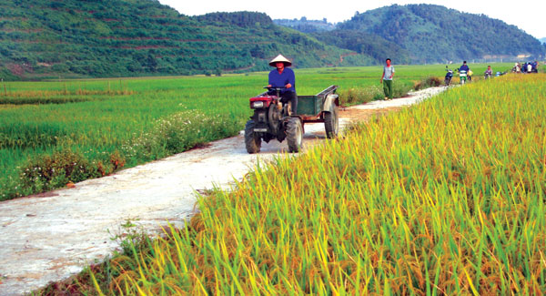 Chớ làm nông thôn mới theo kiểu 