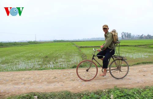 Nông nghiệp và nông thôn ngày 03/03/2015: Giải pháp ứng phó vụ xuân ấm.