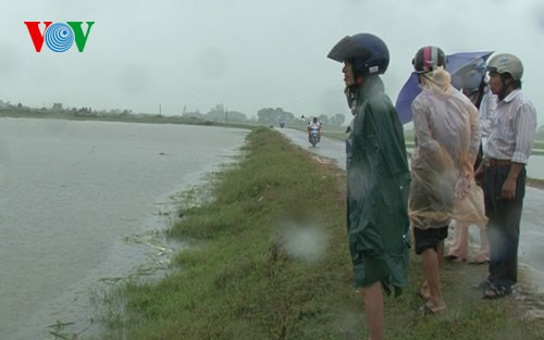 Nông nghiệp và nông thôn ngày 31/3/2015: Quảng Nam: Nông dân trắng tay vì mưa lũ bất thường.