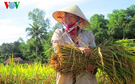 Nông nghiệp và nông thôn ngày 08/03/2015: Phụ nữ nông thôn.