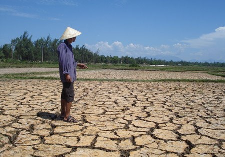 Tình trạng khô hạn kéo dài được báo trước: Người dân vẫn loay hoay trong cách ứng phó.