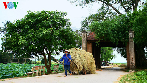 Kịch truyền thanh ngày 12/4/2015: Câu chuyện truyền thanh 