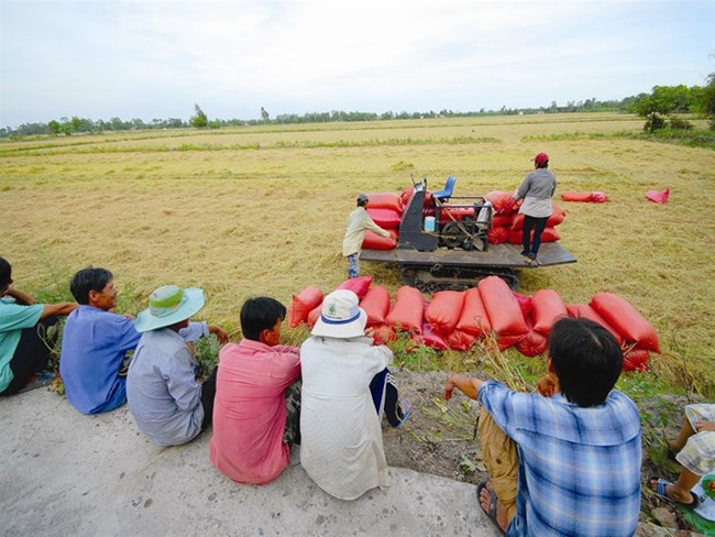 Nông nghiệp và nông thôn ngày 16/4/2015: Chính sách về Hợp tác xã nông nghiệp còn nhiều vướng mắc.