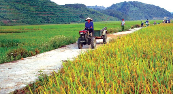 Nông nghiệp và nông thôn ngày 29/5/2015: Khuyến nông chung sức xây dựng Nông thôn mới.