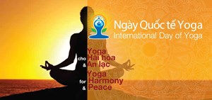 Ngày Quốc tế Yoga lan tỏa văn hóa - triết lý Ấn Độ  đến với Việt Nam (Bạn bè với Việt Nam ngày 15/6/2015)