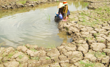 Đồng bằng Sông Cửu Long  chủ động đối phó hạn mặn. (Nông nghiệp và nông thôn ngày 25/6/2015)