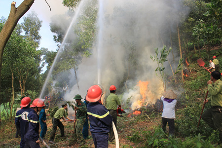 Hà Tĩnh tích cực phòng cháy, chữa cháy rừng. (Nông nghiệp và nông thôn ngày 14/7/2015)