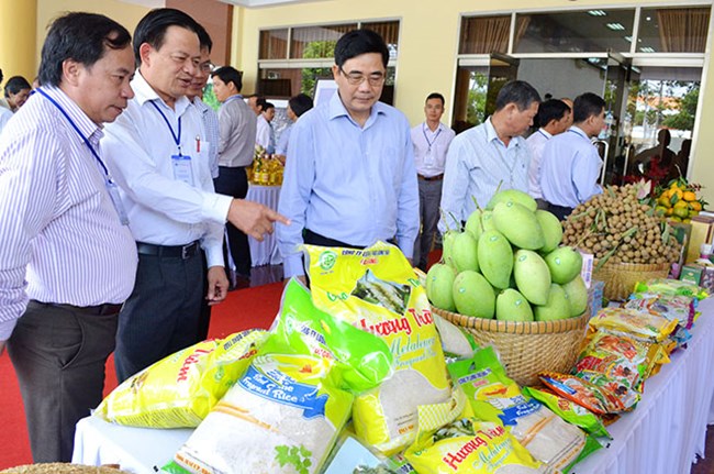 Tái cơ cấu ngành trồng trọt: Thay “da” nhưng chưa đổi “thịt” (Nông nghiệp và nông thôn ngày 24/7/2015)