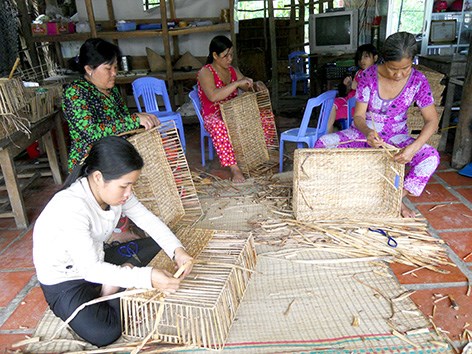 Hậu Giang tìm lời giải cho vấn đề Đào tạo nghề cho lao động nông thôn (Diễn đàn kinh tế ngày 26/7/2015)