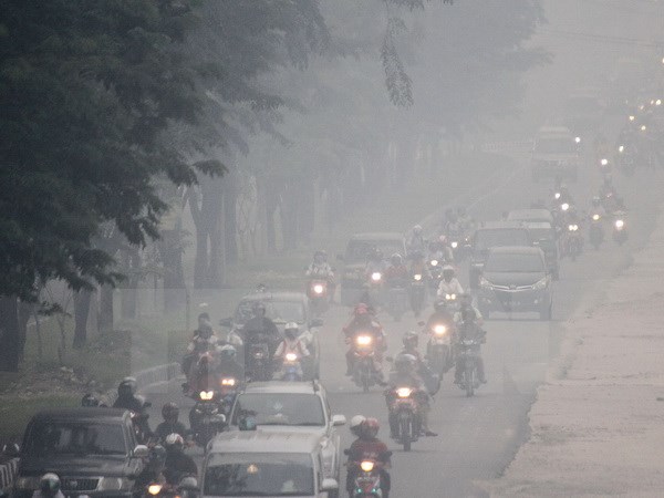 5 quốc gia thành viên ASEAN nỗ lực giải quyết tình trạng ô nhiễm khói bụi xuyên biên giới (Ngôi nhà ASEAN ngày 29/7/2015)