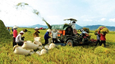 Hỗ trợ doanh nghiệp sản xuất máy nông nghiệp nội địa (Nông nghiệp và nông thôn ngày 12/8/2015)