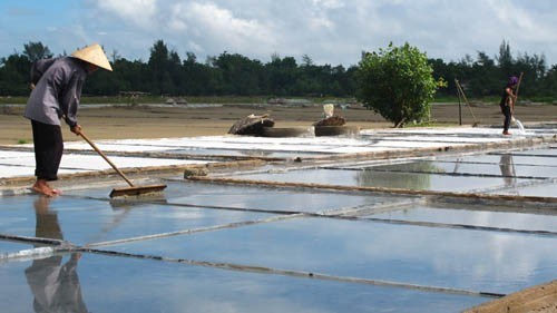 Hà Tĩnh – Khó khăn đầu ra cho muối.