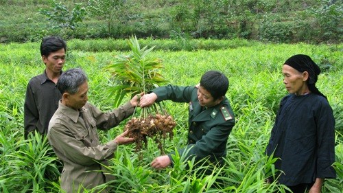 Hiệu quả chương trình đưa cán bộ Biên phòng tăng cường về các xã biên giới.