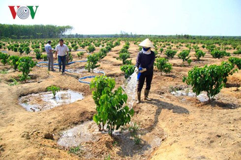 Giải pháp nào bảo đảm an ninh nguồn nước ở Tây Nguyên (10/10/2016)