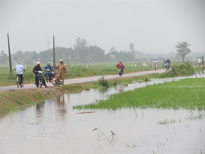 Miền Trung: Nông dân gồng mình trong mưa lũ (02/11/2016)