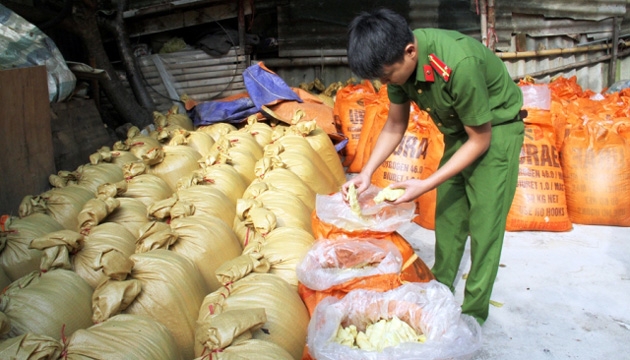 Lào Cai vừa bắt giữ 10 tấn măng tươi ngâm hóa chất độc hại (Thời sự sáng 6/11/2016)