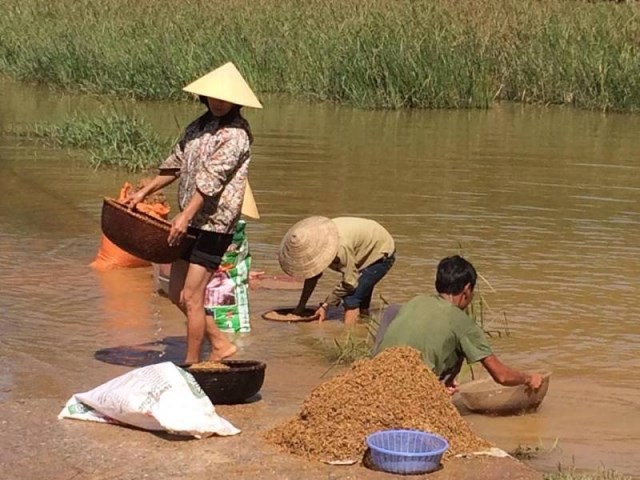 Nông dân bao giờ hết nỗi lo chạy lũ (05/11/2016)