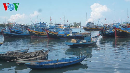 Ninh Thuận: Biển động vì thuốc nổ (6/11/2016)