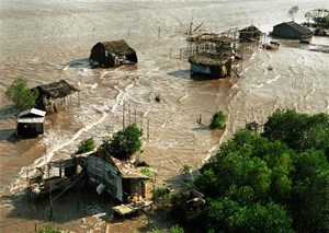 Kiên Giang  nỗ lực phòng chống biến đổi khí hậu (13/11/2016)