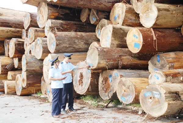 Gia Lai: Cấp phép nhập khẩu gỗ góp phần ổn định an ninh biên giới (1/12/2016)