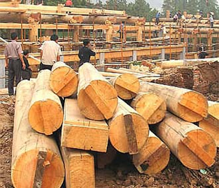 Phát triển thị trường gỗ và sản phẩm gỗ (25/12/2016)