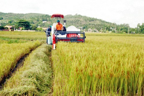 Quảng Bình thay đổi phương thức sản xuất để tiếp cận với thị trường (20/12/2016)