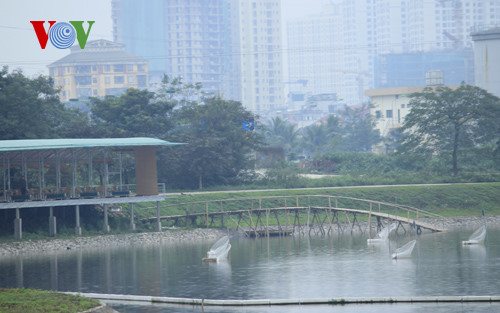 Quản lý chặt chẽ đất công để tránh tham nhũng, lãng phí (26/12/2016)