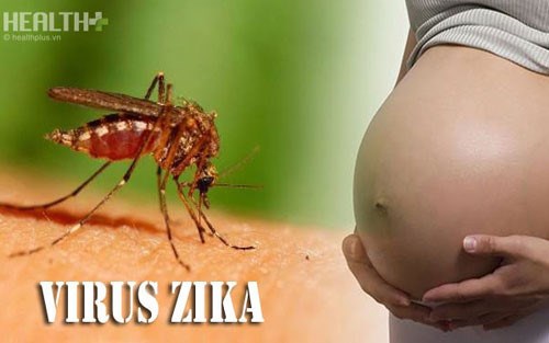 Đồng Nai phát hiện trường hợp đầu tiên nhiễm virus Zika (Thời sự sáng 5/12/2016)