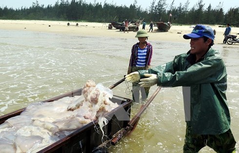 Cá chết, nước biển ô nhiễm…ở miền Trung ảnh hưởng như thế nào đến hoạt động du lịch trong dịp nghỉ lễ tới đây? (28/4/2016)